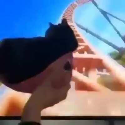 You guys liked my last animal meme so much, so I give you another