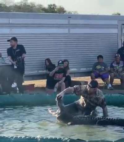 Teasing an unrestrained alligator with your toes