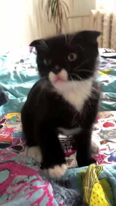 you've had enough of that