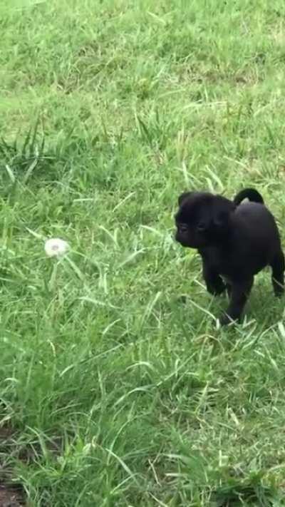 The bravery is inspiring!