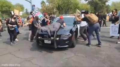 i turned myself into a pickle, Morty