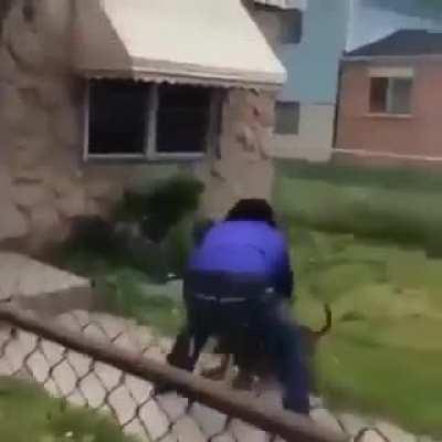 Guy gets attacked by dog and successfully fights it off