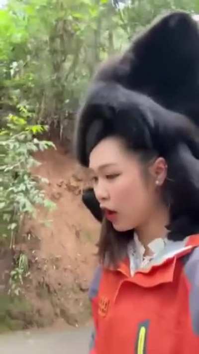 Are chinese gibbons any good?