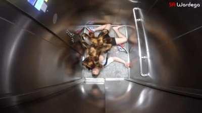 Pupper dressed in a spider costume scares ppl