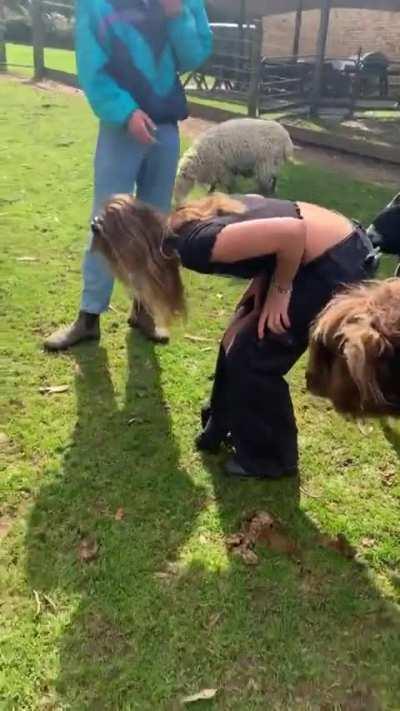 He knows what a real drip is.