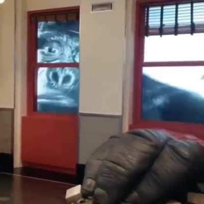 Небольшой уголок, посвящённый Кин-Конгу, в башне Эмпайр-стейт-билдинг в Нью-Йорке