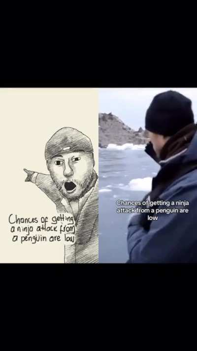 Penguins are evolving guys