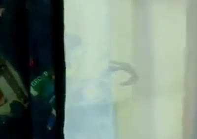 Qué wea con el César (re viejo el vídeo)