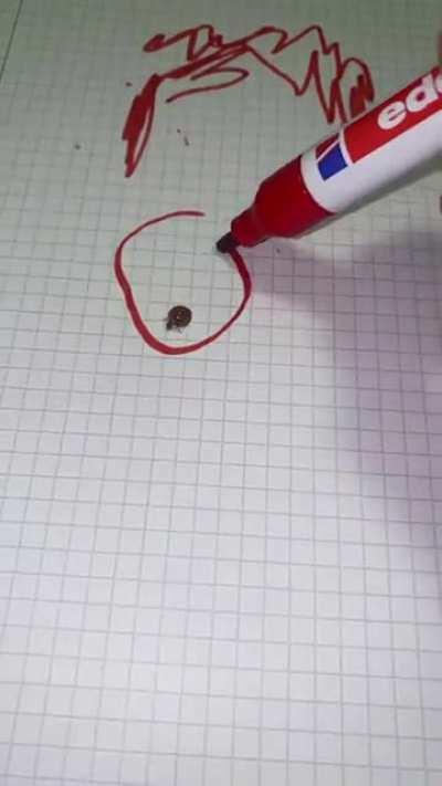 No prison shall hold me!