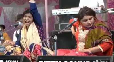 No one: Hadedahs at 5am: