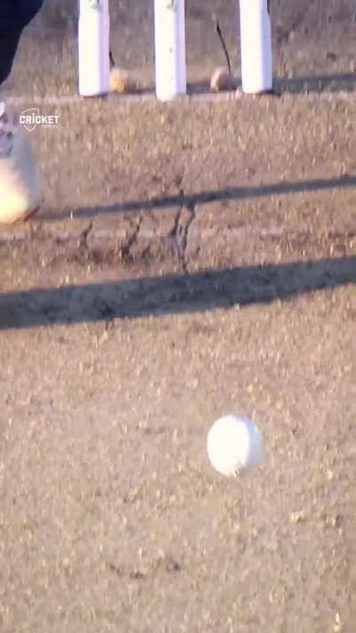 Mitchell Stark - What a Joy to Watch!