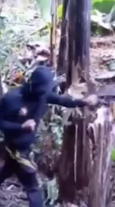 With discipline and effort..