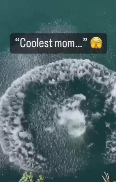 Why Did She Fall Like That?! 🤣