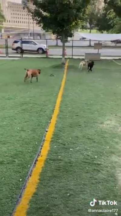 Maddie and I are the same.