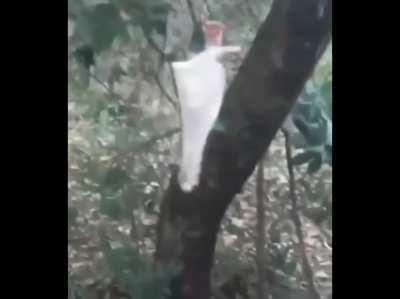 The christmas spirit is about to come