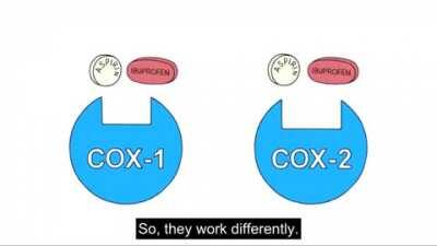 How Do Painkillers, Such As Aspirin And Ibuprofen, Work?