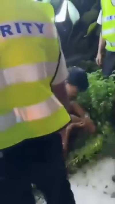 Chicken rice vs Nasi Lemak