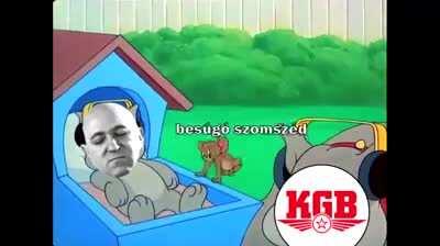 50es évek bí lájk