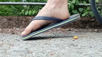 Quarter Final 4: Blue Flipflops v/s Pink Flipflops