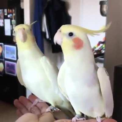 let's have some funny time