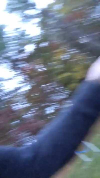 Was going for the slow motion action shot, got tackled instead.