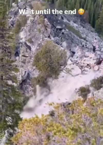 Just inches away from earning himself a Darwin Award