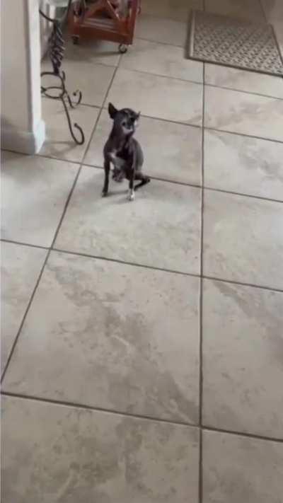 A very big sneeze for such a tiny gentleman!