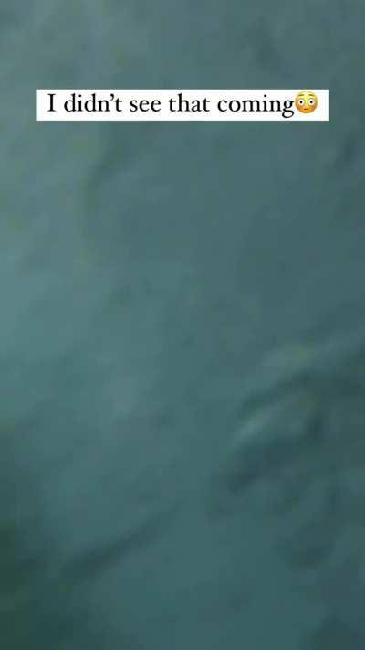 Nobody would have ever believed him if it wasn’t for this video 💀