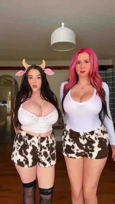 Milkcows