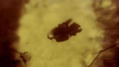 Watch him as he goes! 🐀🌪️