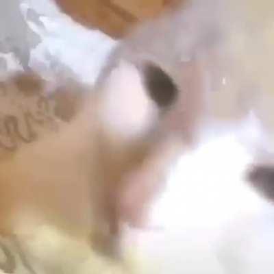 First video I ever saw of data moshing.