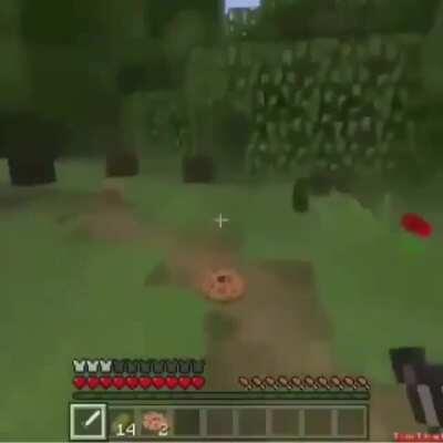 Very scary(do not watch if easily disturbed)