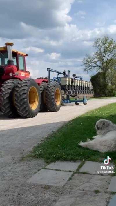 Saw this absolute gem and had to share it