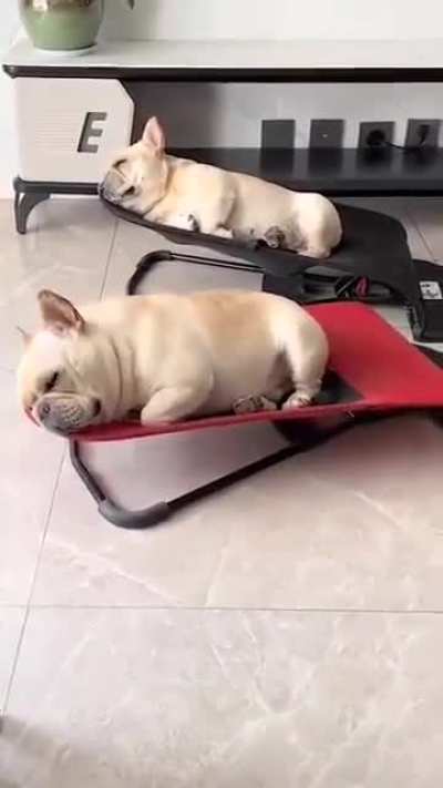 They sure look comfy in them