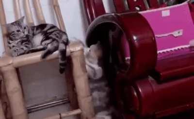 They’re both so cartoonish