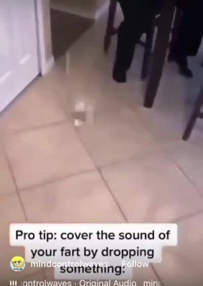 Pro Tip: Cover the sound of a fart by dropping something