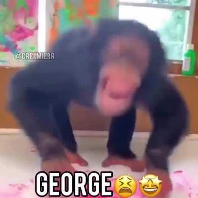 george 😵
