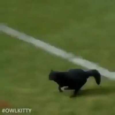 Kedy tam doksana çaktı topu