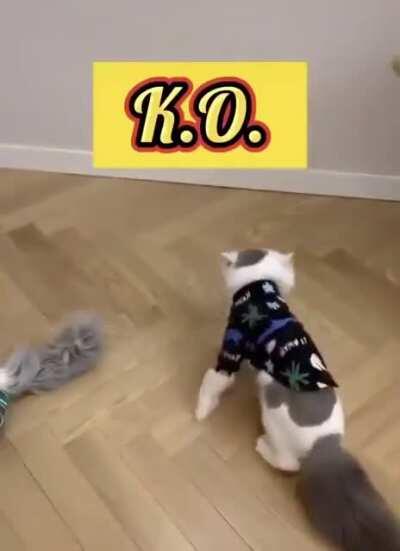 Who the fuck are you?