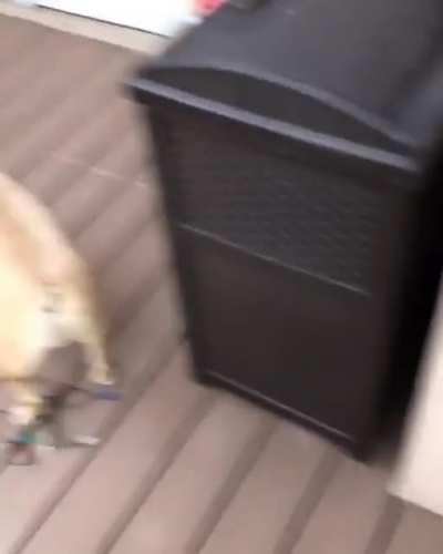 HMF as I grill up some delicious burgers