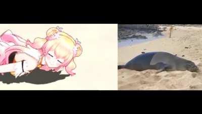 Seal looks at you at farts (Nene MMD edition)