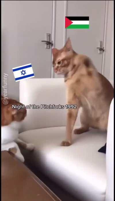 To all the seething clowns who clearly don’t even like David Pakman bombarding this sub calling President Biden “GeNoCiDe JoE!”