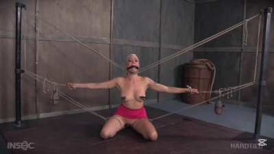 Lorelei Lee - Hardtied