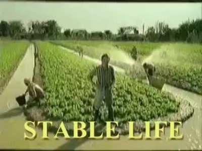 Stop drinking! Thai PSA