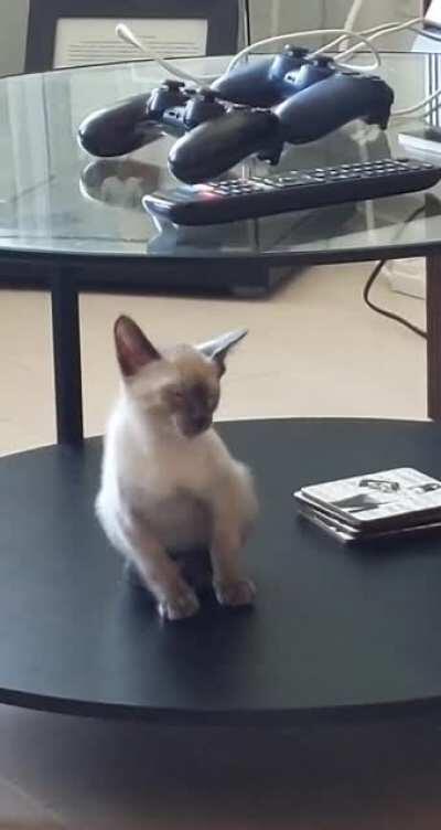 George is clearly a master of sleep...