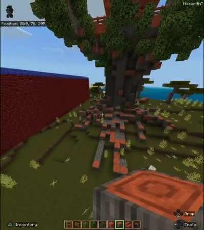 Who won our tree house making contest. dad or our 5 year old.