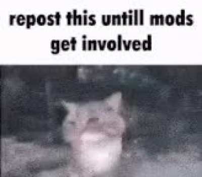 Hurry! We don't have much time!