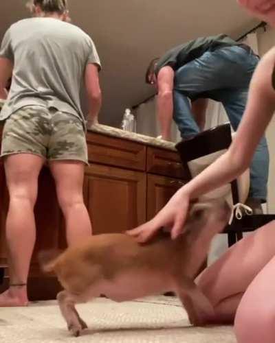 Emmy learned to shake