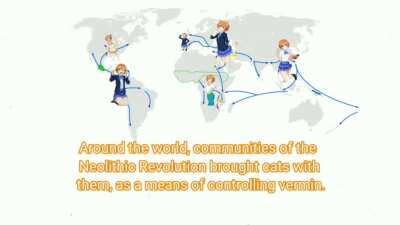 I transformed love live into history memes for 100 days. (this will be my last post for this series, made something different for the last one. thank you all for keeping up with my bad memes.)