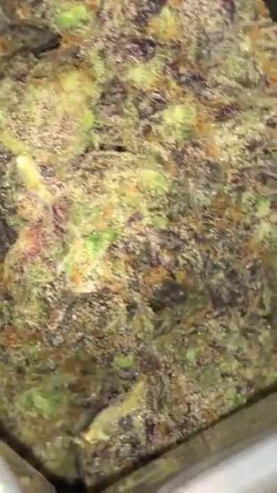 Apple fritter how much is a zip of this where you guys are from? I’m in nyc also how much do you think I dropped?